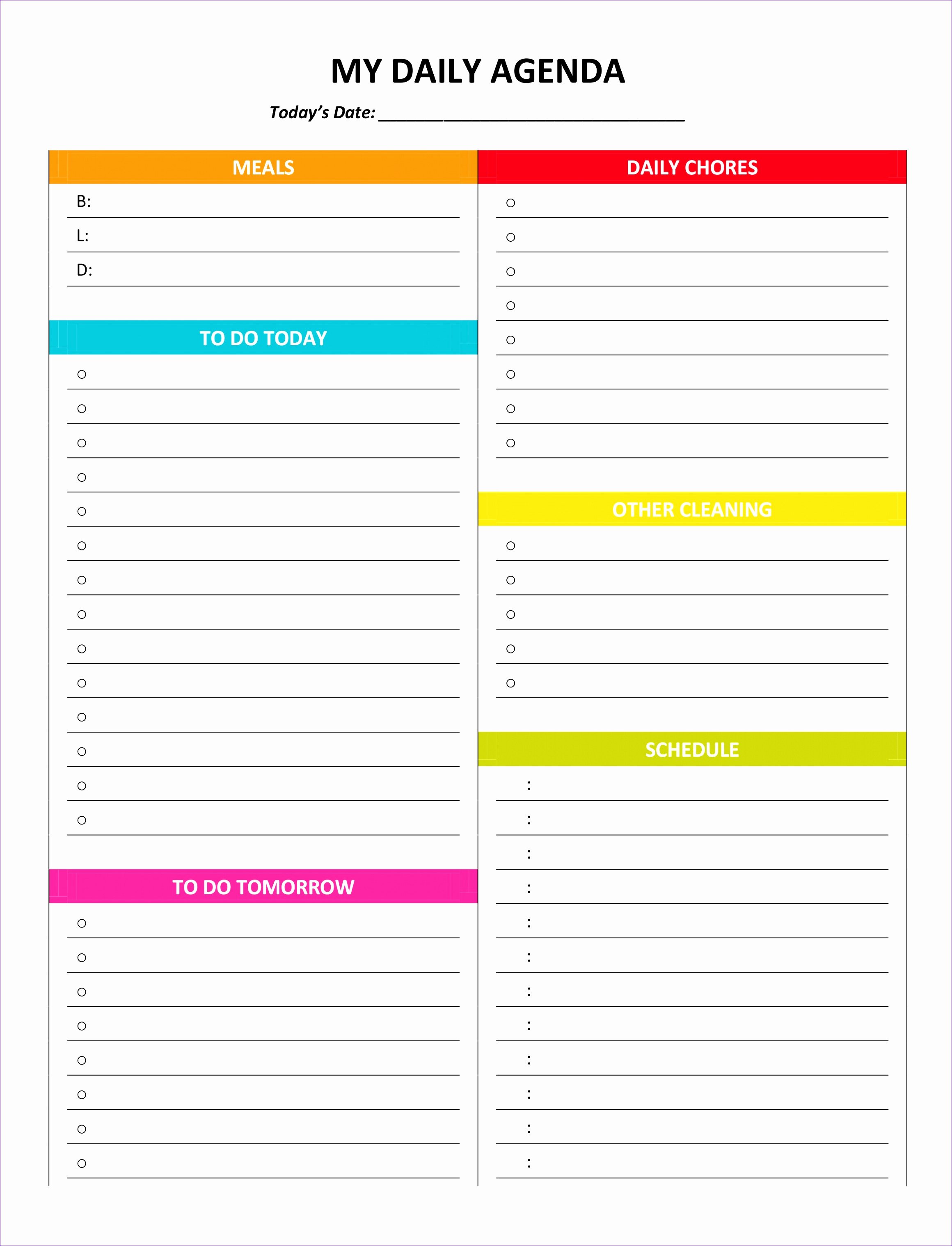 100 Day Plan Template Best Of 8 100 Day Plan Template Excel Exceltemplates