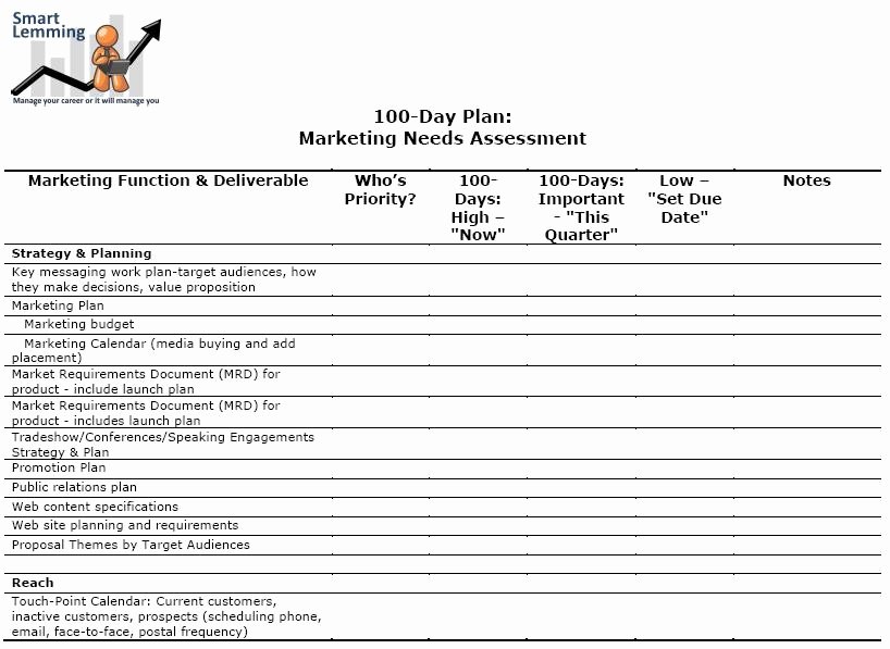 100 Day Plan Template Elegant Needs assessment Template