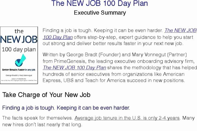 100 Day Plan Template New 4 Sample 100 Day Plan Templates Free Download