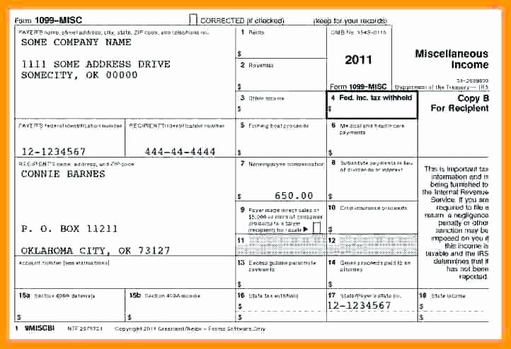 1099 Pay Stub Template Excel Lovely 15 1099 Pay Stub Template Excel