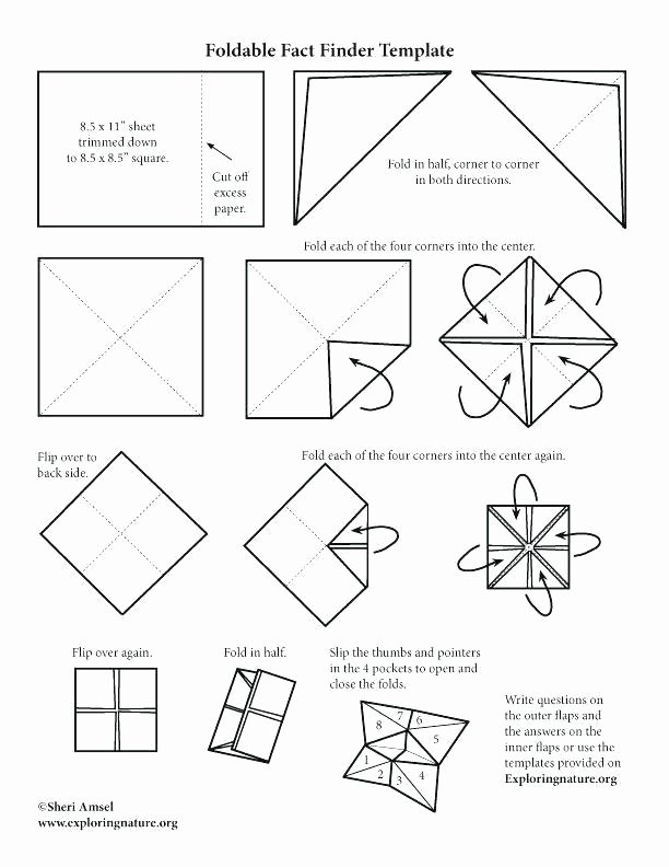 12 Sided Dice Template Best Of Eight Sided Dice Printable