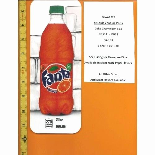 2 Liter Bottle Label Template New soda Bottle Sizes Coke 2 Liter Bottle Label by Canada Dry