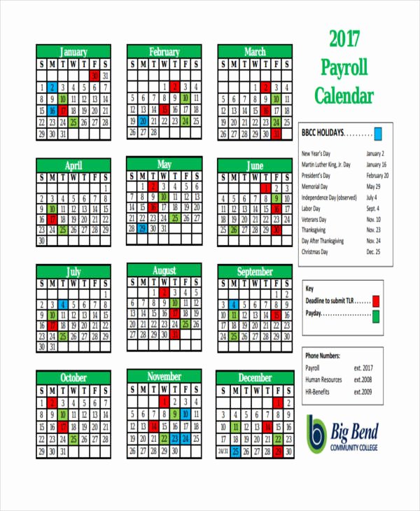 2019 Biweekly Payroll Calendar Excel Luxury 7 Payroll Calendar Templates Sample Example