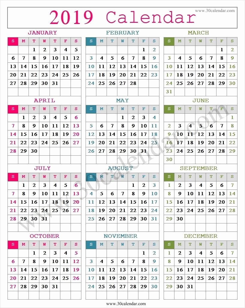 2019 Cute Calendar Printable Elegant Cute 2019 Calendar Printable