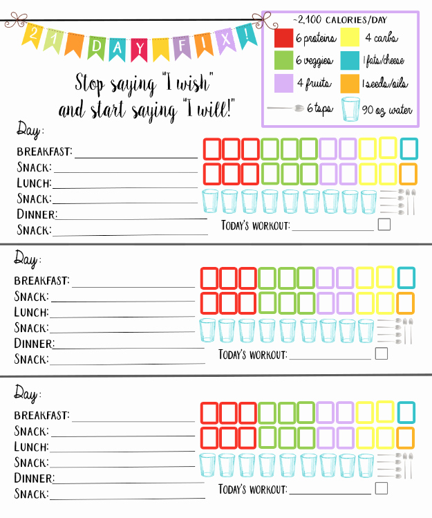 21 Day Fix Calendar Template Beautiful 21 Day Fitness Logging System Bundle Tracking Sheet