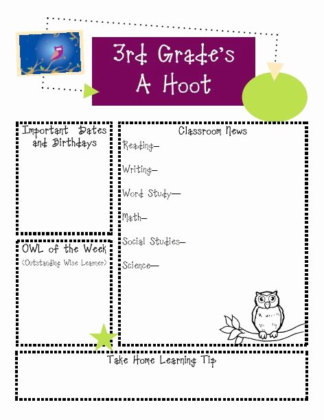 3rd Grade Newsletter Template New Classroom Ideas Ms D S Teaching Site