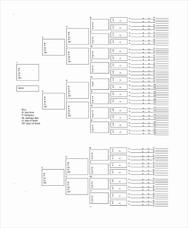 5 Generation Family Tree Template Excel Awesome 34 Family Tree Templates Free Download