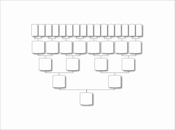 5 Generation Family Tree Template Excel Awesome Five Generation Family Tree Template – 11 Free Word