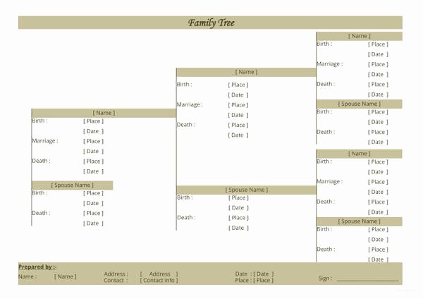 5 Generation Family Tree Template Excel Awesome Simple Family Tree Template 27 Free Word Excel Pdf