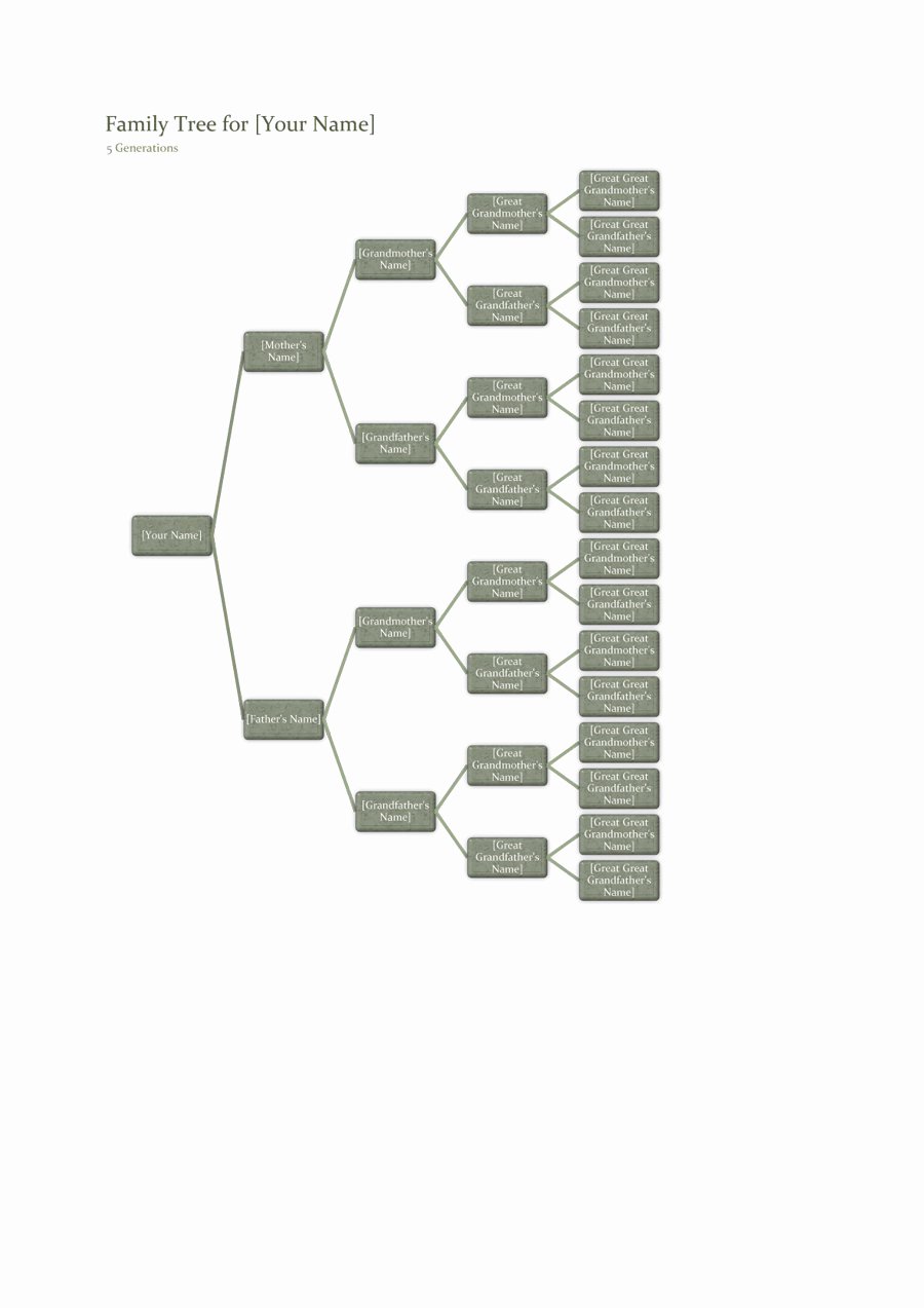 5 Generation Family Tree Template Excel Beautiful 50 Free Family Tree Templates Word Excel Pdf