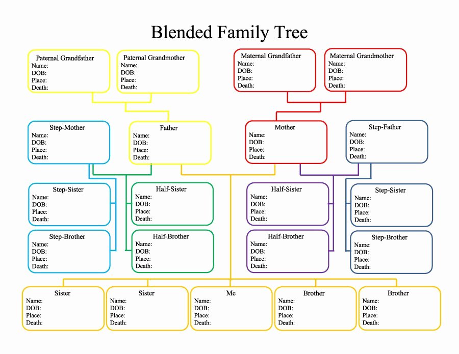 5 Generation Family Tree Template Excel Fresh 50 Free Family Tree Templates Word Excel Pdf