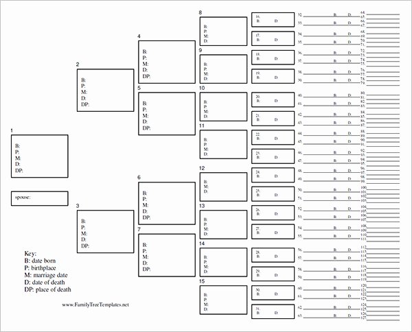 5 Generation Family Tree Template Excel Fresh Blank Family Tree Chart 6 Free Excel Word Documents