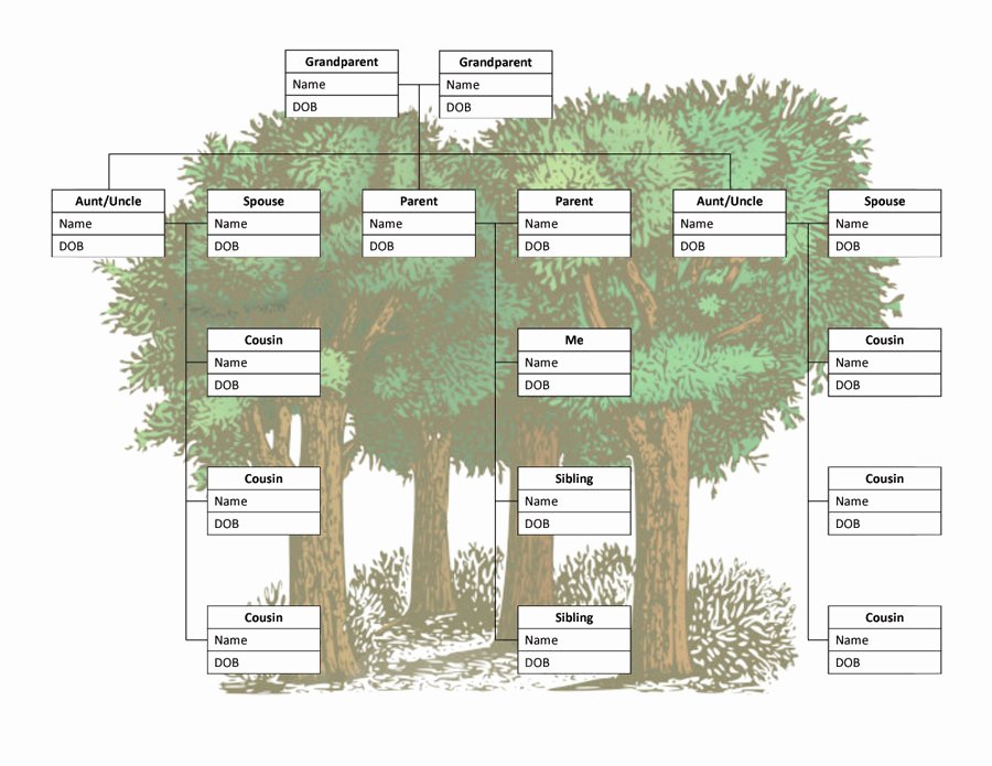 5 Generation Family Tree Template Excel Fresh Free Family Tree Templates Word Excel Pdf – Kukkoblock