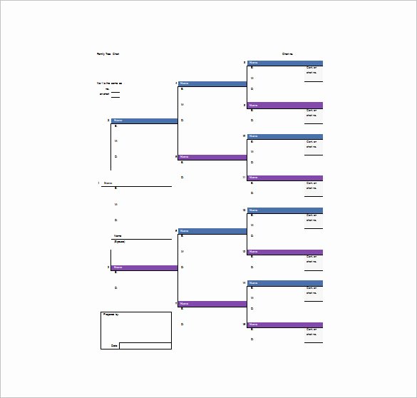 5 Generation Family Tree Template Excel Inspirational Family Tree Template 11 Free Word Excel format