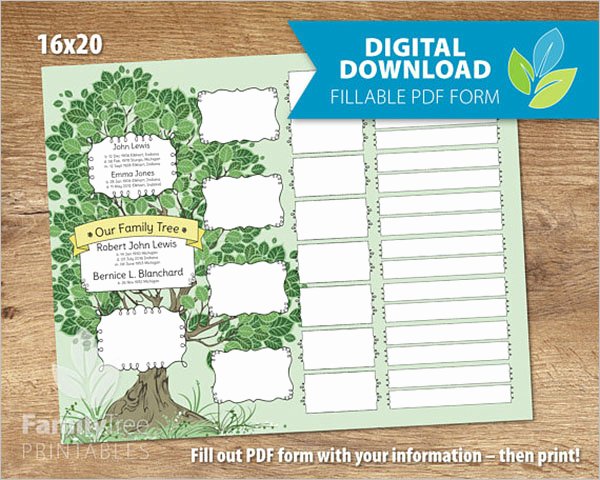 5 Generation Family Tree Template Excel Lovely 13 5 Generation Family Tree Templates Free Word Excel