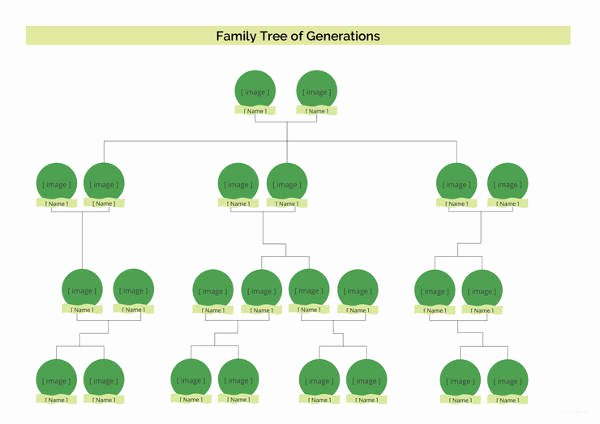 5 Generation Family Tree Template Excel Lovely Simple Family Tree Template 27 Free Word Excel Pdf