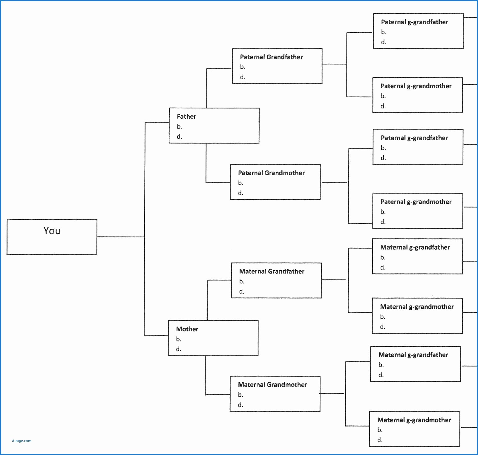 5 Generation Family Tree Template Excel Luxury 14 15 Excel Genealogy Templates