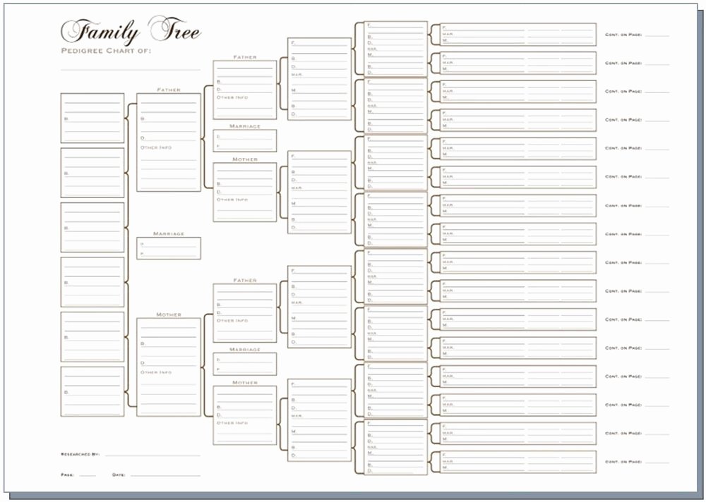 5 Generation Family Tree Template Excel Luxury A3 Six Generation Family Tree Chart Pedigree Pack Of 3