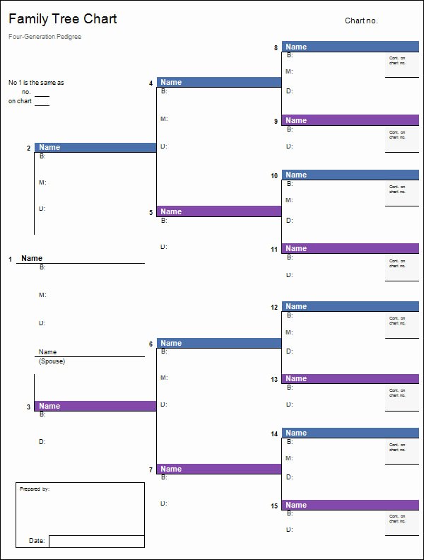 5 Generation Family Tree Template Excel Luxury Family Tree Template 55 Download Free Documents In Pdf