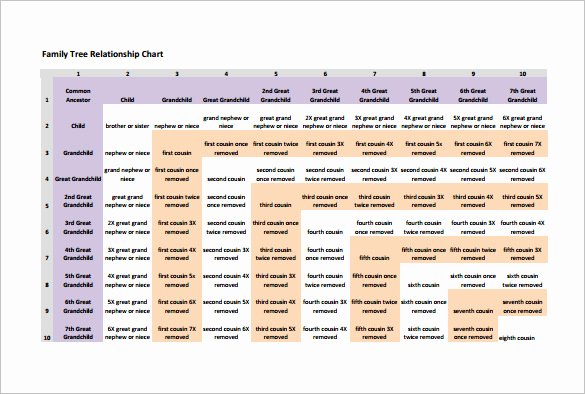 5 Generation Family Tree Template Excel Unique Family Tree Chart Template – 11 Free Sample Example