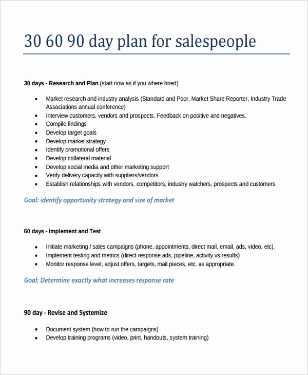 90 Day Goals Template Unique 22 30 60 90 Day Action Plan Templates Free Pdf Word