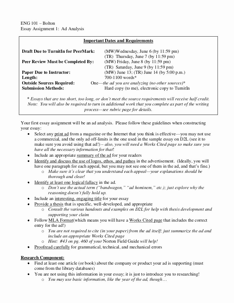 Advertisement Analysis Essay Sample Luxury 101 Essay 1 Ad Analysis