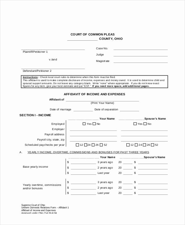 Affidavit Of Income Awesome 9 In E and Expense form Sample Free Sample Example