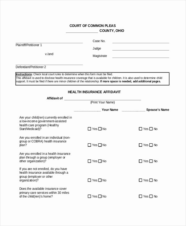 Affidavit Of No Income Beautiful Sample Affidavit form 15 Free Documents In Pdf Doc