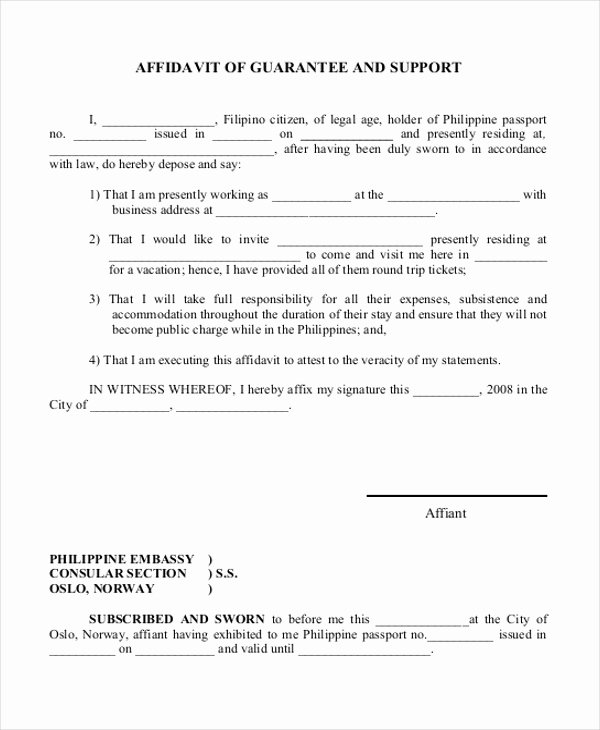 Affidavit Of No Income Best Of Sample Affidavit Of Support form 10 Free Documents In Pdf