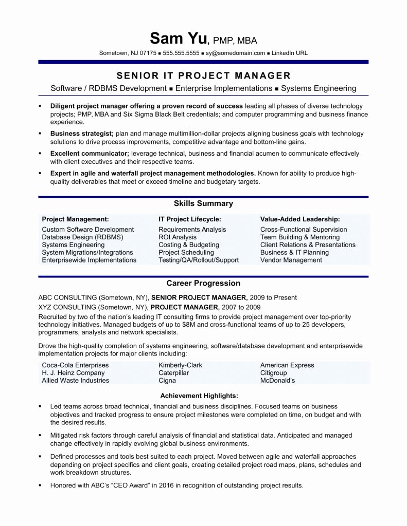 Agile Project Manager Resume Awesome Agile Product Owner Resume Examples