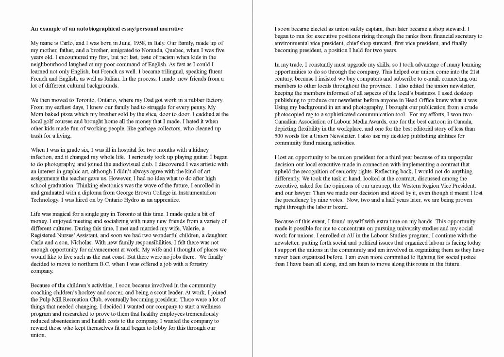 Air force Position Paper Template Elegant Descriptive Essay A Person Example