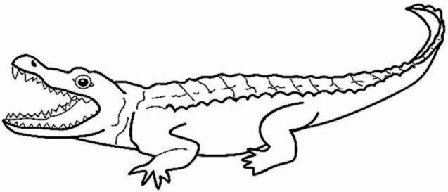 Alligator Template Printable Awesome Alligator Sheet Preschool Cut Coloring Pages