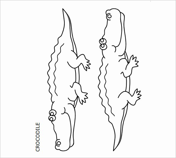 Alligator Template Printable Elegant 21 Alligator Templates Crafts &amp; Colouring Pages