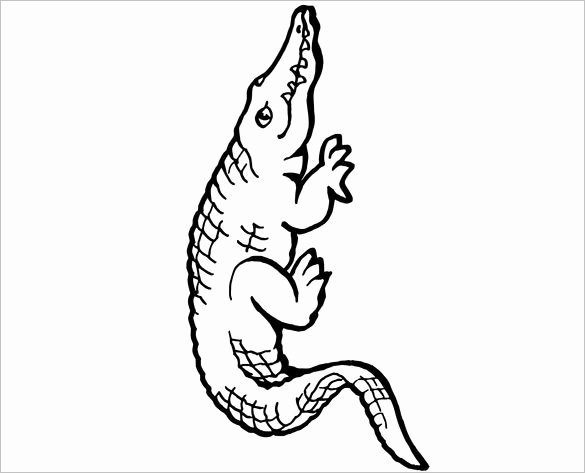 Alligator Template Printable Inspirational Alligator Outline Drawing at Getdrawings