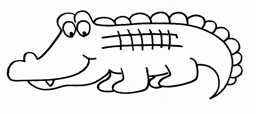 Alligator Template Printable Lovely Baby Alligator and Python Coloring Coloring Pages