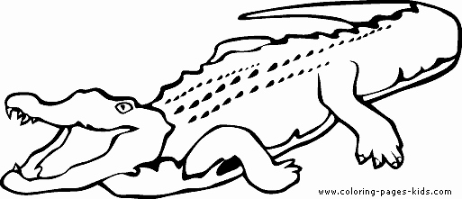 Alligator Template Printable New 21 Alligator Templates Crafts &amp; Colouring Pages