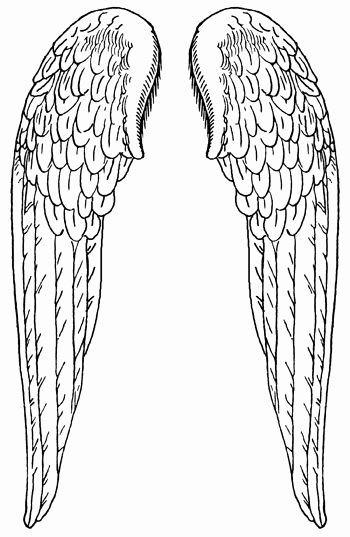 Angel Wing Stencil Printable Best Of Angel Wings Pattern