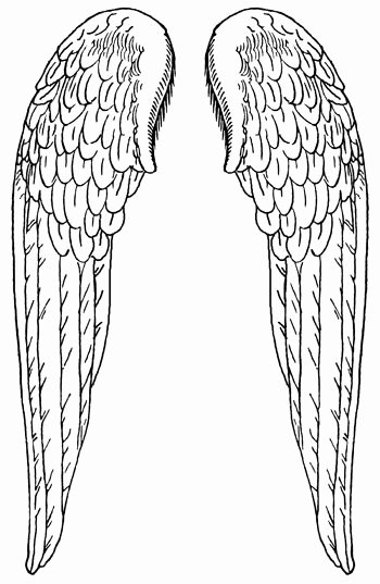 Angel Wing Stencil Printable Best Of Angel Wings Pattern