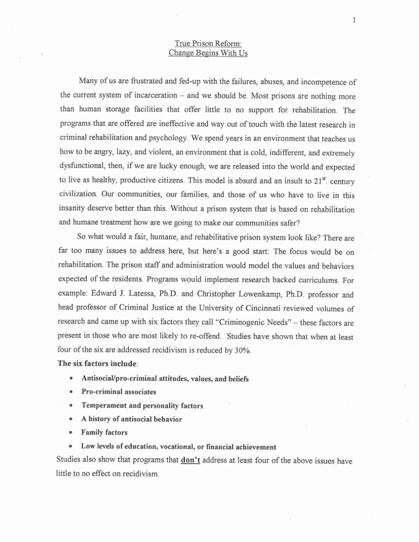 Animal Cruelty Essay Outline Fresh Domestic Violence Argumentative Essay Domestic Violence