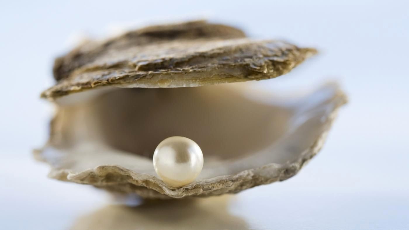 Animal Imagery In the Pearl Fresh What is the Symbolism Of A Pearl