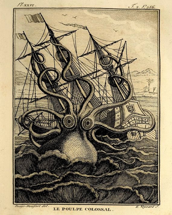 Animal Imagery In the Pearl Unique Octopus Art Art Print Old Prints Nautical Art Print