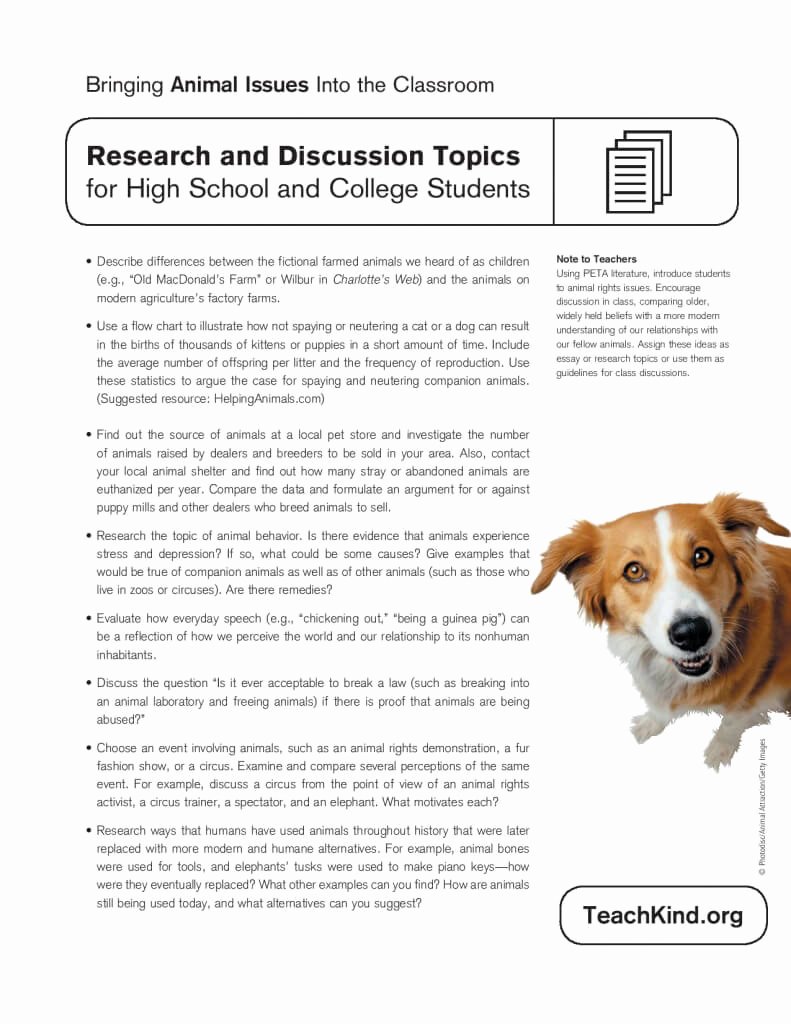 Topics for discussion Dog. Topic demonstrative Speech. Puppy Mill. An essay about Testing on animals. Pet essay