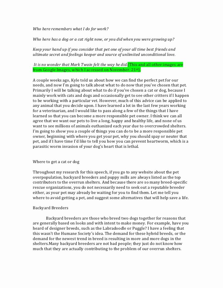 Argumentative Essay On Depression Elegant Research Outline Paper Custom Research Paper Basics