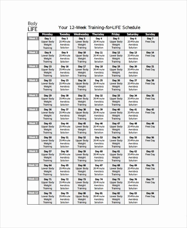 Army Training Schedule Template Inspirational 17 Training Schedule Templates