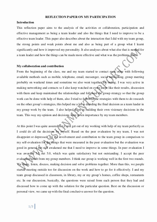 Art Institute Essay Example Best Of Reflective Essay Essay Sample From assignmentsupport