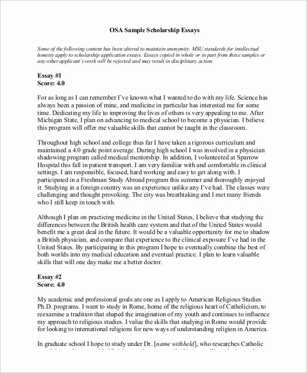 Art Institute Essay Example Inspirational 9 Scholarship Essay Examples