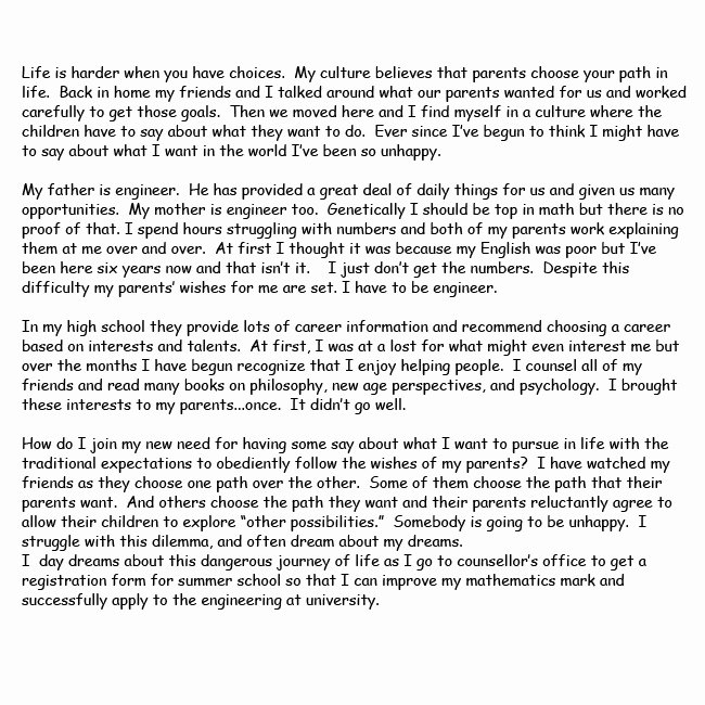 Art Institute Essay Example Lovely Grade 12 Level 4 Writing Sample