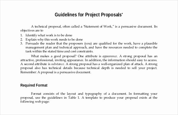 Art Project Proposal Sample Lovely 47 Project Proposal Templates Doc Pdf