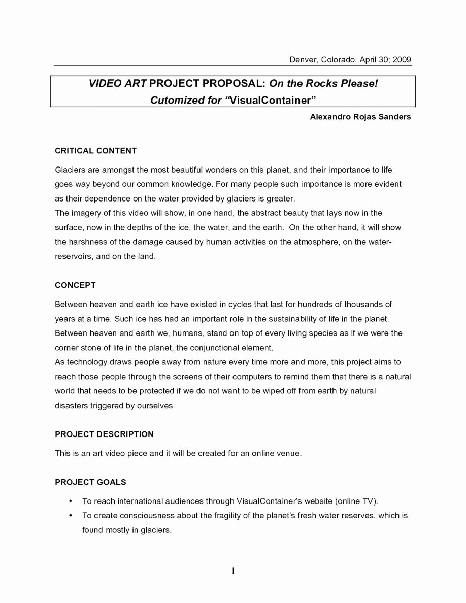 Artist Proposal Example New Artist Proposal Example Art Project Sample Pdf Curator