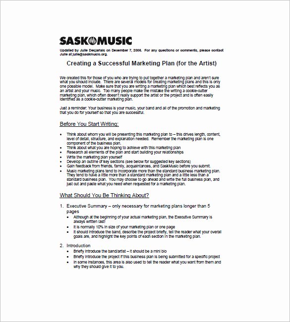 Artist Proposal Samples Fresh 15 Music Marketing Plan Templates Docs Pdf